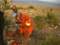 “L’attacco al Sinis-Montiferru è un colpo al futuro dell’Isola”