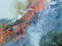 Incendi, il Consiglio dei Ministri dichiara lo stato d’emergenza