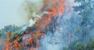 Incendi, è ancora allerta in Sardegna: venerdì 23 luglio bollino arancione