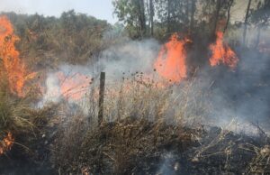 Pericolo incendio nel Cagliaritano | Il bollettino della Protezione Civile