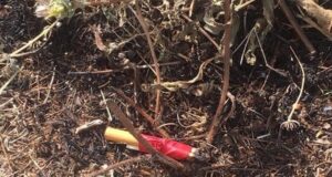 Trovato un innesco a Oniferi: sventato un rogo disastroso