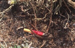 Trovato un innesco a Oniferi: sventato un rogo disastroso