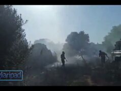 Fiamme vicino alle abitazioni a Capitana, sul posto la Paff e i Vigili del fuoco