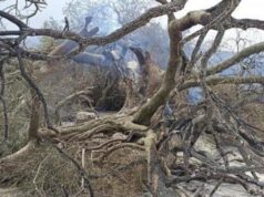 Cgil, Cisl e Uil chiedono un Commissario per l’emergenza del Montiferru