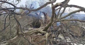 Cgil, Cisl e Uil chiedono un Commissario per l’emergenza del Montiferru