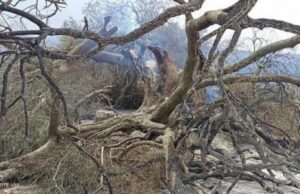 Cgil, Cisl e Uil chiedono un Commissario per l’emergenza del Montiferru