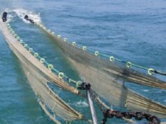 Commissione Ambiente: audizioni sulla protezione della fascia costiera