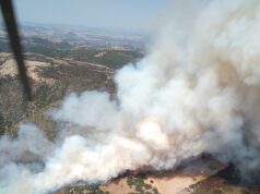 Sardegna: 17 incendi bruciano l’Isola, a San Basilio in fumo 200 ettari