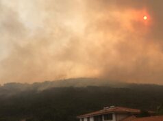 Incendi Sardegna, dieci giorni dopo: a che punto siamo?