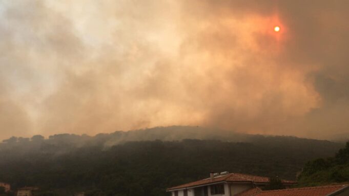 Incendi Sardegna, dieci giorni dopo: a che punto siamo?