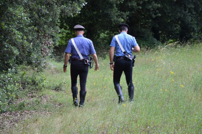 Villasor, trova un gregge nel suo campo di carciofi e per ripicca investe il pastore