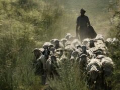 Transumanza: un progetto Ue valorizza gli antichi percorsi dei pastori sardi