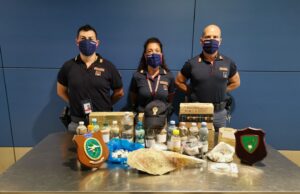 Continua la razzia dai fondali dell’isola: ruba una nacchera di mare a Porto Cervo