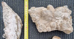 Urzulei, escursionisti tedeschi rubano stalattiti e stalagmiti durante il trekking