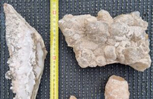 Urzulei, escursionisti tedeschi rubano stalattiti e stalagmiti durante il trekking