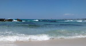 Tartarughe marine: le caretta caretta scelgono sei spiagge sarde