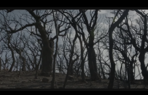 “L’ombra del fuoco”, il documentario sul Montiferru del regista Enrico Pau