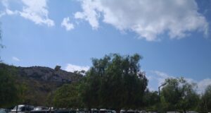 Il Poetto diventa il regno della vela: sfrattati i nuotatori cagliaritani