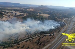 Continuano gli incendi in Sardegna, sedici i roghi divampati oggi nell’isola