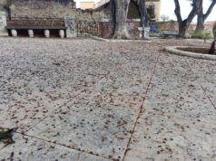 “Guardate in che stato è il Terrapieno”, la denuncia degli ambientalisti