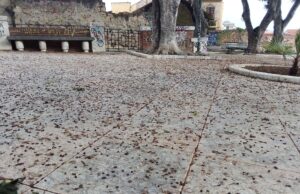 “Guardate in che stato è il Terrapieno”, la denuncia degli ambientalisti