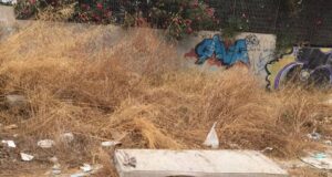 “Via Trentino è un immondezzaio”: appello degli studenti al Comune