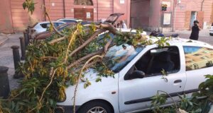 Castello, alberi pericolosi | Un ramo crolla sopra una macchina