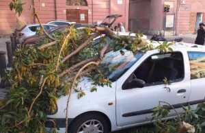 Castello, alberi pericolosi | Un ramo crolla sopra una macchina