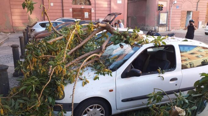 Castello, alberi pericolosi | Un ramo crolla sopra una macchina