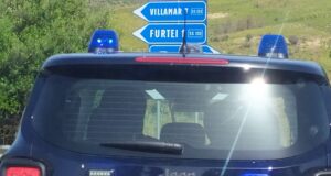 Villamar, investito un cavallo incustodito sulla strada provinciale