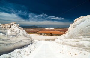 Saline Conti Vecchi: giovedì torna la Festa della raccolta del sale