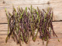 Gli asparagi combattono l’ubriachezza, lo dice la scienza