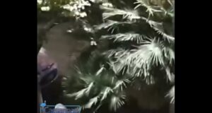 Via Roma, rompe un vetro del pullman con un sasso