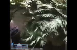 Via Roma, rompe un vetro del pullman con un sasso