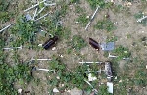 “In via Koch un tappeto di siringhe”, la denuncia degli ambientalisti