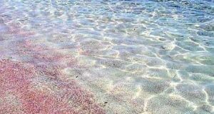 Sulcis: ecco dove si trova la bellissima spiaggia rosa