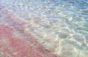 Sulcis: ecco dove si trova la bellissima spiaggia rosa