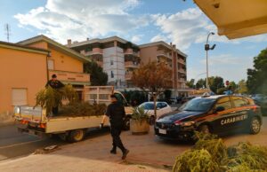 Sestu, coltivazione di cannabis scoperta per il forte odore