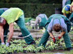 Centro Studi Agricoli: “Regione proclami lo stato di emergenza agricola”