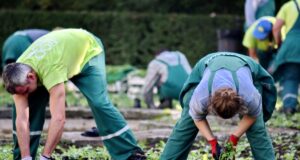 Donne in agricoltura, quasi la metà della forza lavoro ma solo il 13% è proprietaria