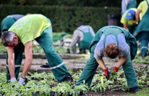 Imprese agricole al collasso, Copagri: “Regione attivi misure di liquidità”