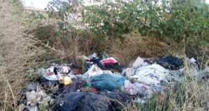 “Via Jenner è una discarica a cielo aperto”, la denuncia degli ambientalisti