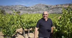 “Adotta una botte”, il progetto di Cantina Berritta per diventare produttori di vino