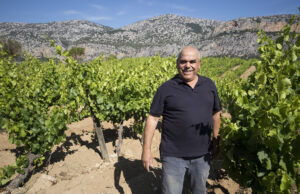 “Adotta una botte”, il progetto di Cantina Berritta per diventare produttori di vino