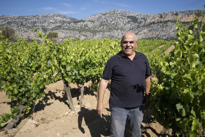 “Adotta una botte”, il progetto di Cantina Berritta per diventare produttori di vino