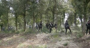 Appicca un incendio in un bosco, condannato a tre anni