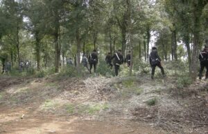 Appicca un incendio in un bosco, condannato a tre anni