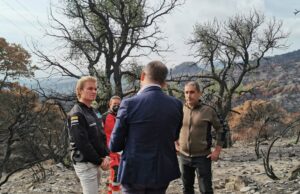 L’ex pilota Nico Rosberg dona 39mila euro per le zone colpite dagli incendi