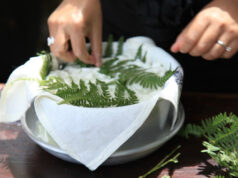 Il cibo sardo allunga la vita: su casu axedu e su casu in filixi