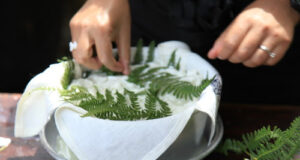 Il cibo sardo allunga la vita: su casu axedu e su casu in filixi